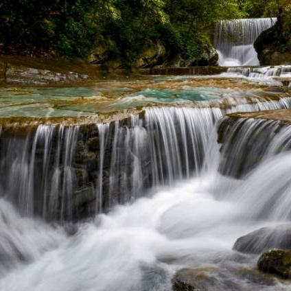 桂林哪里有收小叶紫檀相关长尾关键词有哪些