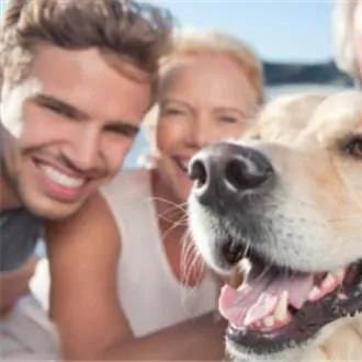 跨境宠物物流的相关长尾关键词有哪些