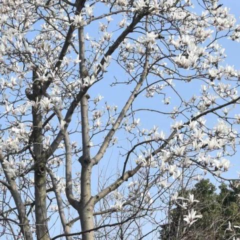 江苏省苏州市常熟市虞山林场三峰的长尾关键词有哪些