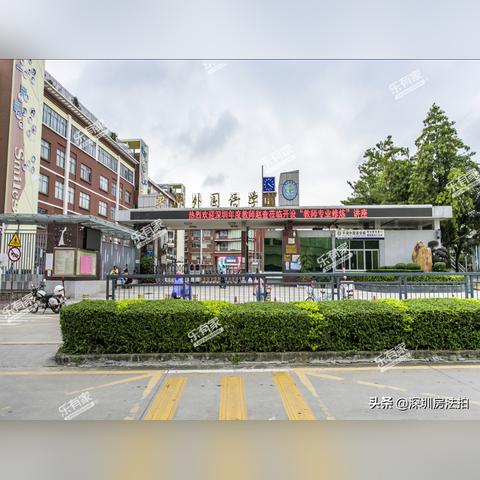 深圳市龙岗区什么高中