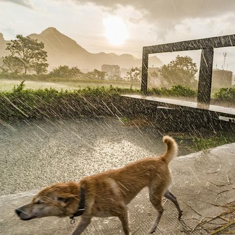 桂林市什么县下大雨多