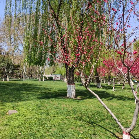 石家庄市是什么样的