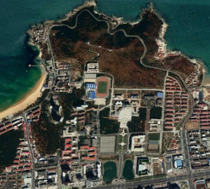 世界大学排行榜前100名深度解析