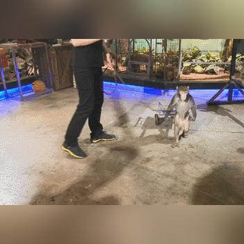天津动物园怎么样