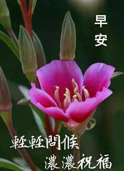 下雨早安说说怎么发 下雨早安说说怎么发