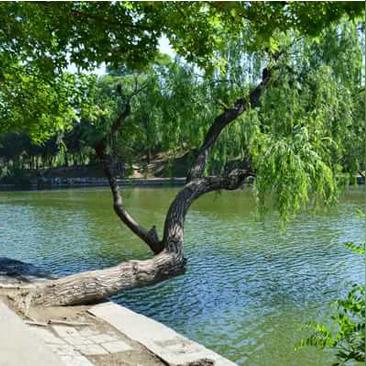 保定市百花酒店电话多少