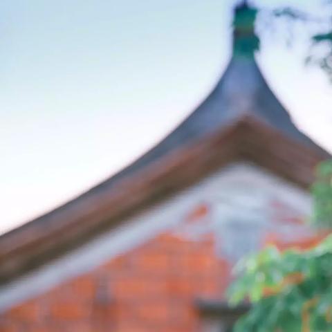 厦门求猫的相关长尾关键词有哪些