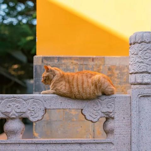 [苏州火车站到西园寺]相关长尾关键词有哪些