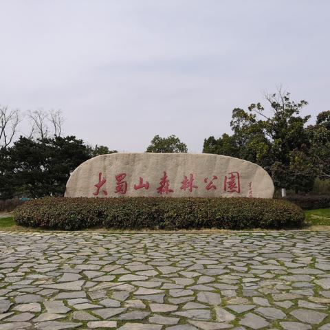 合肥市森林村是哪个区的