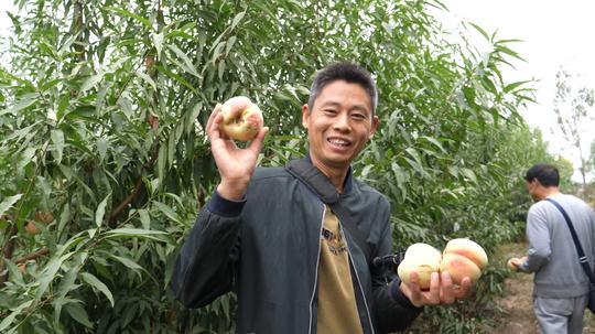 农村土地种植为啥不挣钱？主要原因是缺少创新，还有更重要的一点