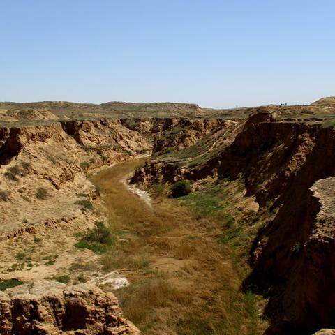 2003的生肖羊运势(2003属羊运势及运程)