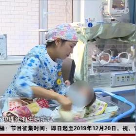 兰州市给猫洗澡的地方在哪里