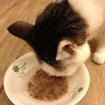 五行缺水八字喜土怎么取名_五行缺水八字喜土怎么取名(五行缺土,八字喜水什么意思)