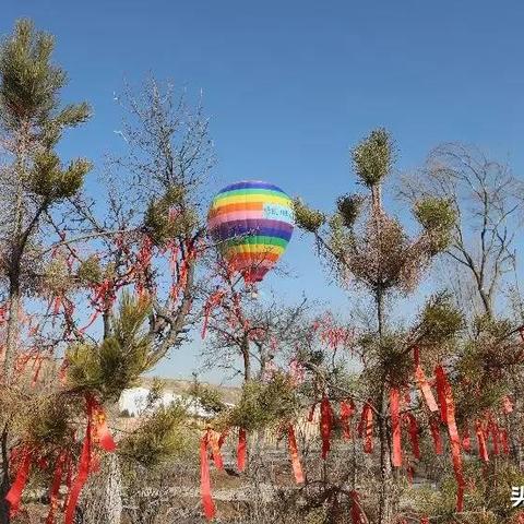 兰州市去哪里遛娃好玩呢