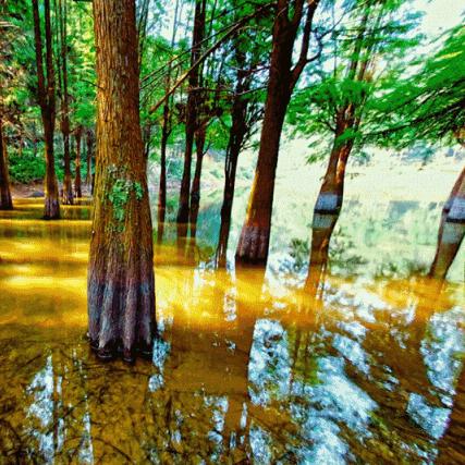 长沙影珠山森林公园相关长尾关键词有哪些