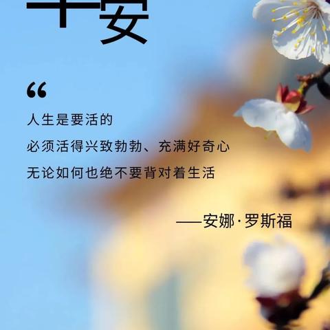 8月21日生肖运势宜忌(2021年8月21日十二生肖财运)