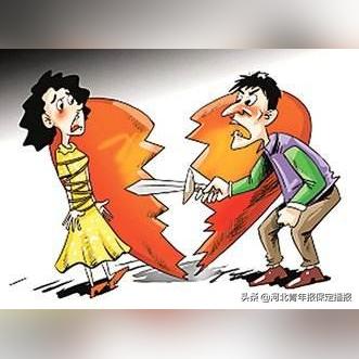 保定市宠物理发店有哪些