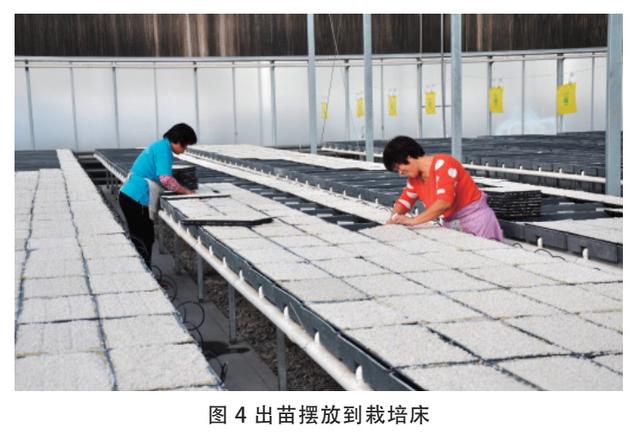 分娩方式有几种 分娩方式有几种