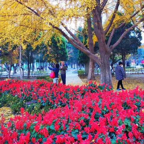 沈阳市冬天哪个公园好玩