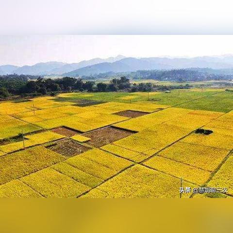 天津车易行怎么样
