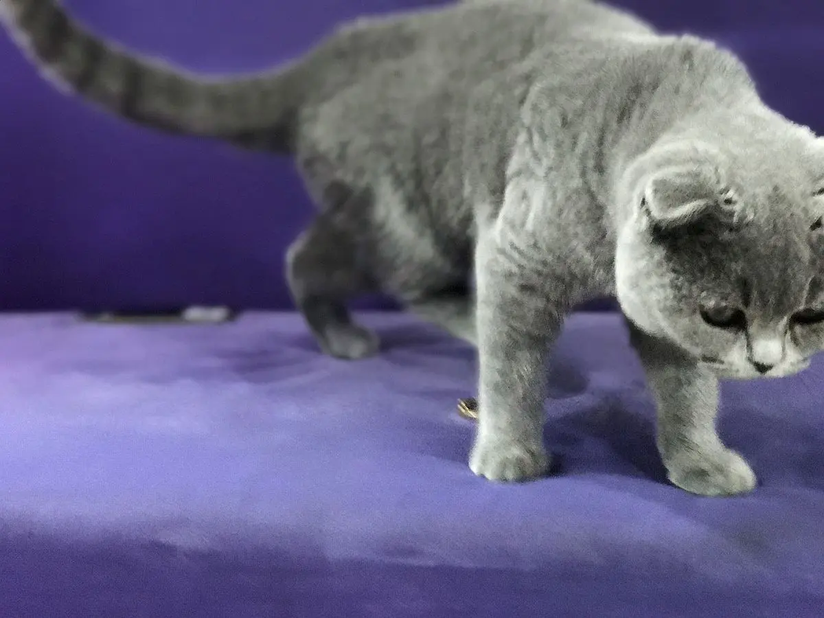 线下店衣服能退吗 平板线下店能退吗