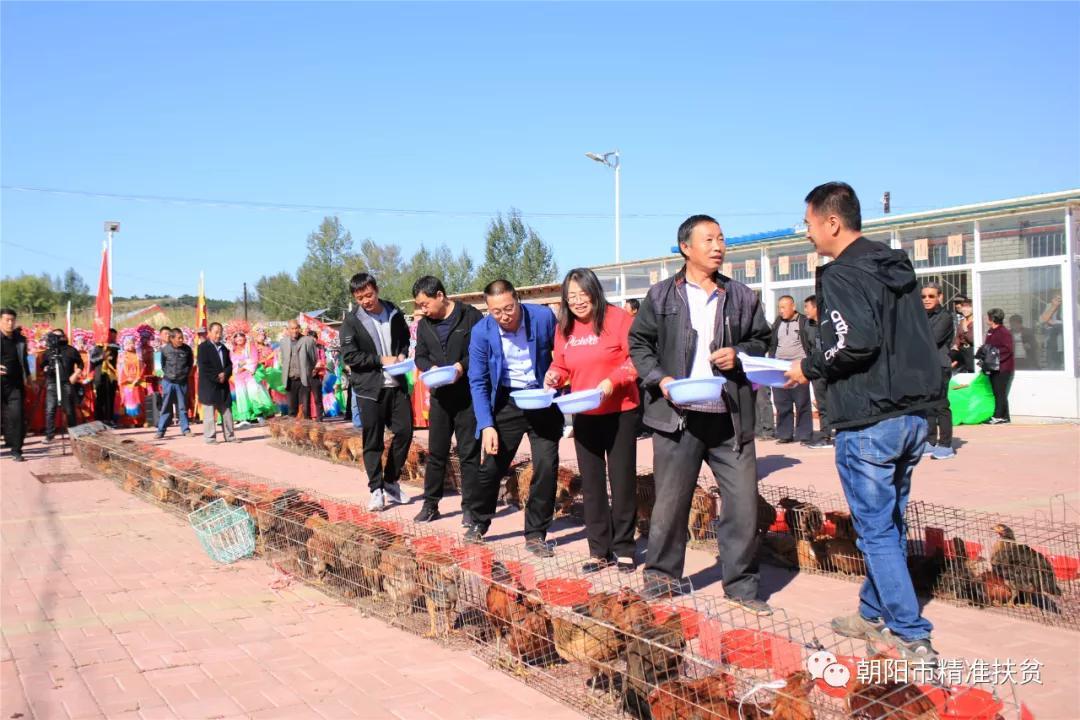 给鸡宝宝起名打分,为什么感觉学校领导大多数都是高级职称