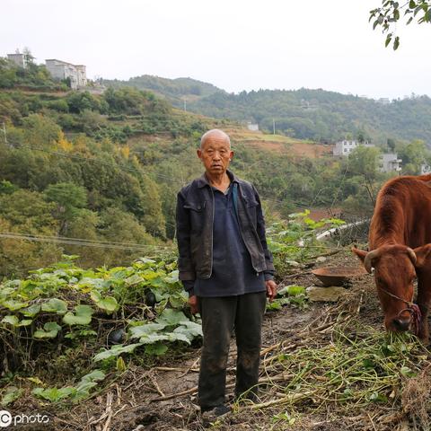 陕西高中理科学几本书？