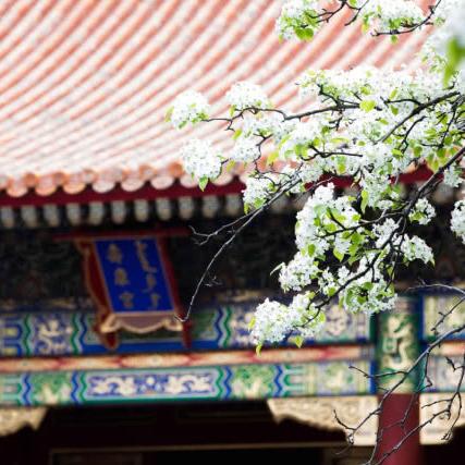 天津墙头瓦怎么样