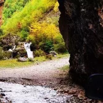 问一下那个大哥大姐兰州有卖地毯的地方吗？