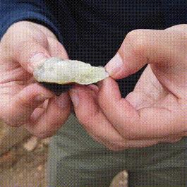 佛山市水果采摘园在哪里