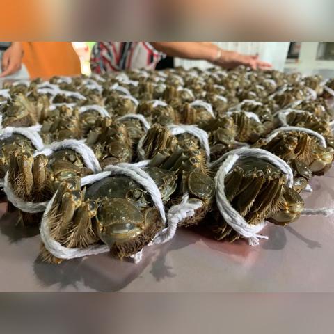 上海周边荒岛有哪些