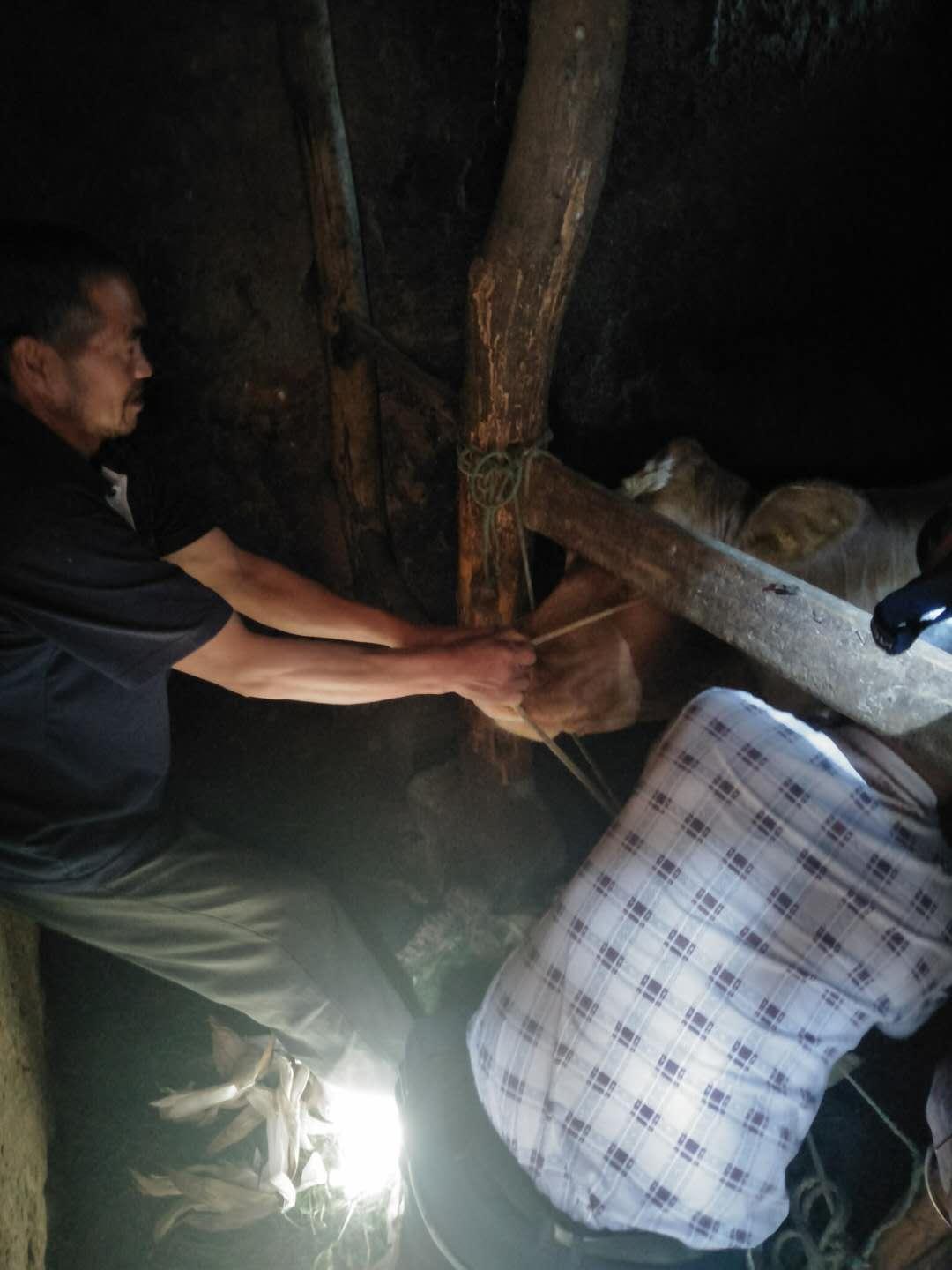 郑州二院疫情最新消息
 /郑州二院疫情最新消息今天