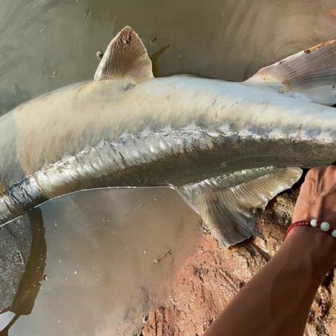 邯郸市钩鱼的地方在哪里