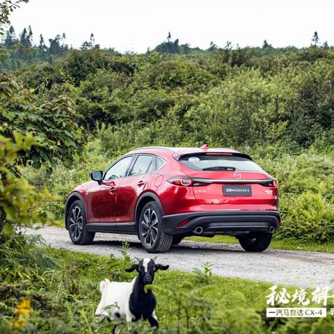 重庆主城区周边景点的长尾关键词有哪些