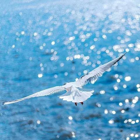 昆明市个贷率公告的长尾关键词有哪些