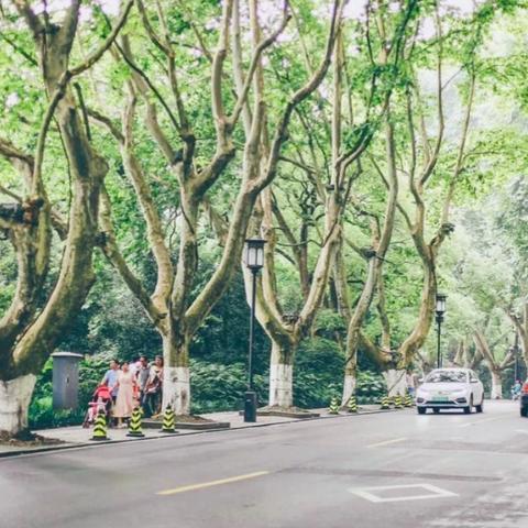 杭州市九溪属于什么镇
