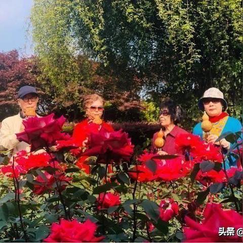 江苏省省苏州市常熟市海虞镇邮政编码的长尾关键词有什么