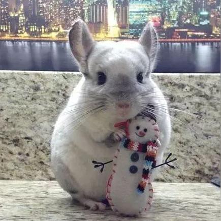 超人工智能会超过人类吗的相关长尾关键词有哪些