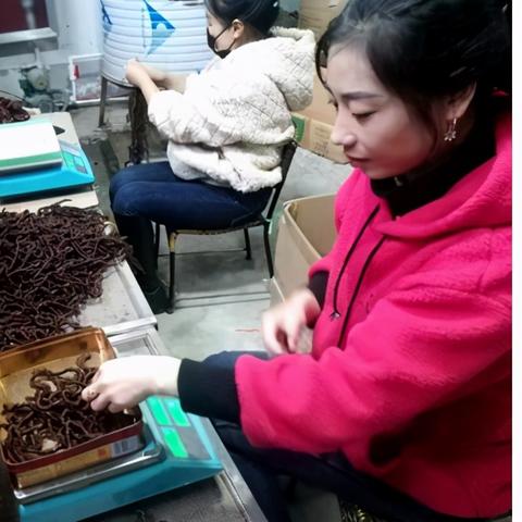 海外电商假发周边 相关的长尾关键词有哪些 