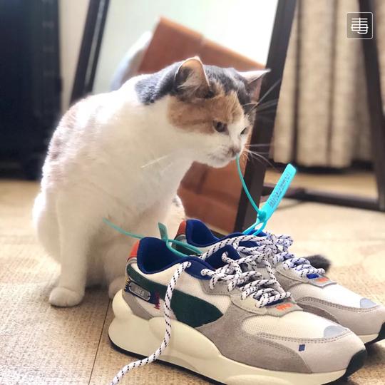 假如世界上没有nike与adidas这些冷门好鞋同样值得入手