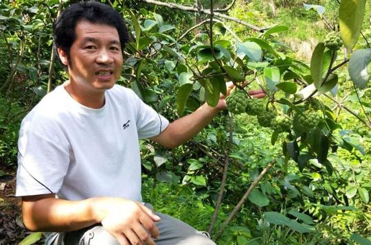 “致富节目”介绍的项目农民一试就赔，怎么回事？到底能不能信