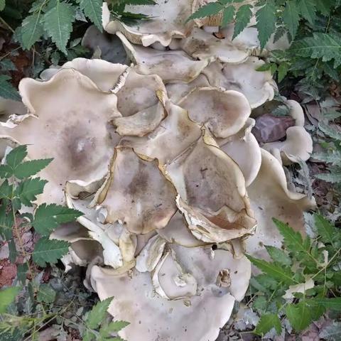 厦门市民卡门票在哪里买