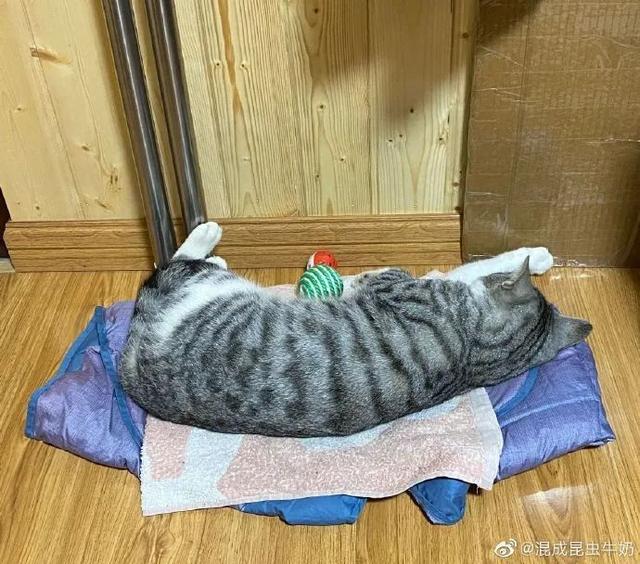 宝宝喝酸奶呕吐怎么办