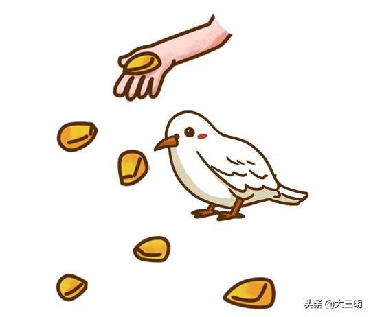 日入千元？动心你就上套了，警惕“杀鸟盘”骗局！