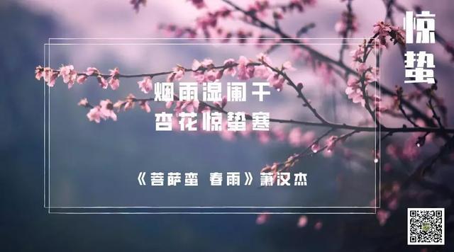 2019惊蛰文案海报合集