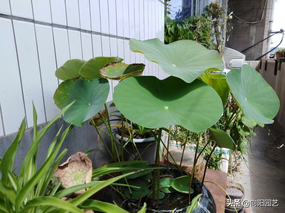 整天开暖气对孩子有什么伤害