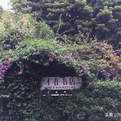 厦门市种了什么果树