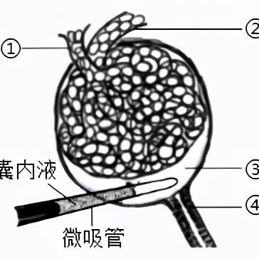 临沂市化学教师招聘的长尾关键词有哪些