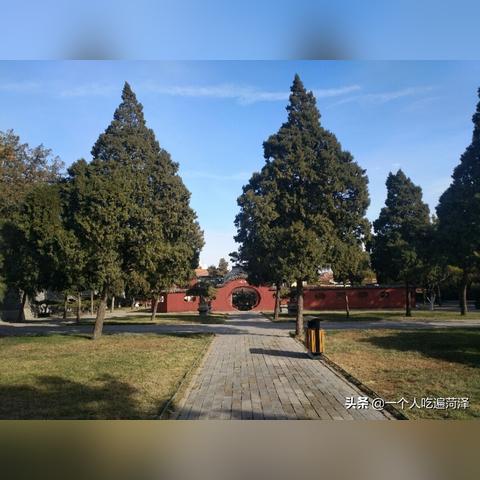 菏泽市离泰安多少公里