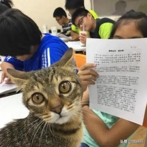 足球比赛防球规则的长尾关键词有什么
